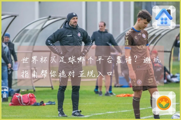 世界杯买足球哪个平台靠谱？避坑指南帮你选对正规入口